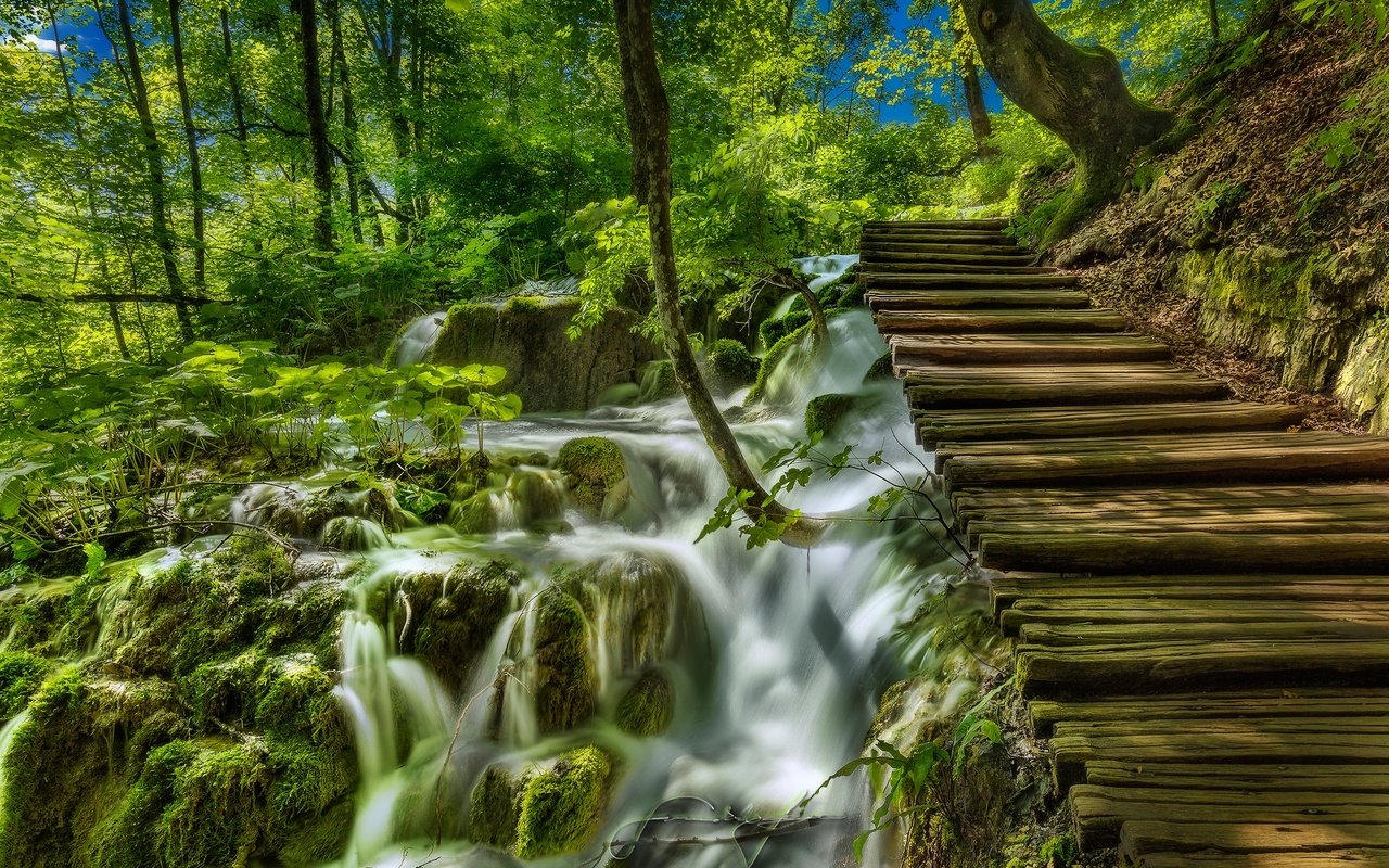 Обои трава, хорватия, деревья, мостки, солнце, plitvice lakes national park, зелень, ручей, кусты, водопад, мох, grass, croatia, trees, bridges, the sun, greens, stream, the bushes, waterfall, moss разрешение 2500x1666 Загрузить