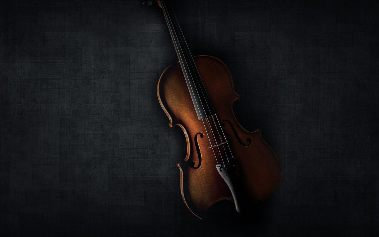 Обои скрипка, струны, черный фон, музыкальный инструмент, violin, strings, black background, musical instrument разрешение 2880x2560 Загрузить