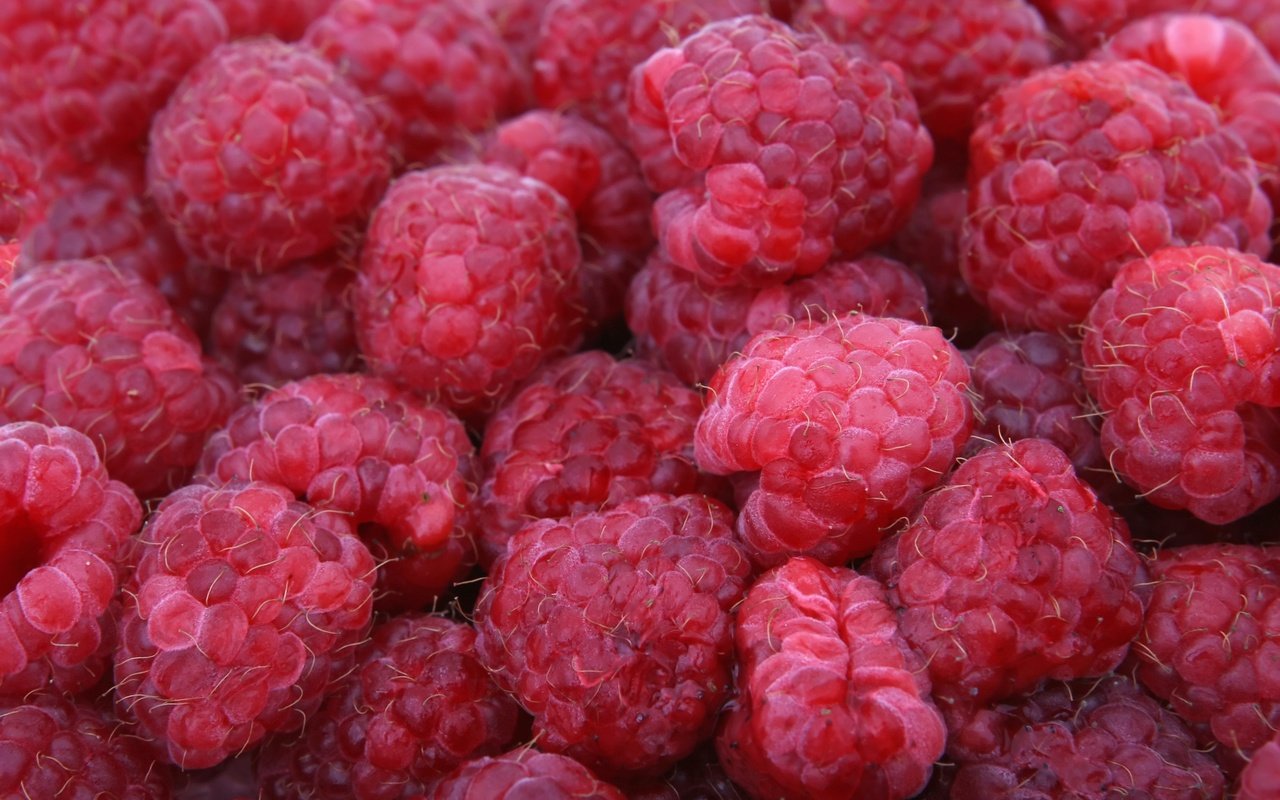 Обои малина, лето, ягоды, много, raspberry, summer, berries, a lot разрешение 3504x2336 Загрузить