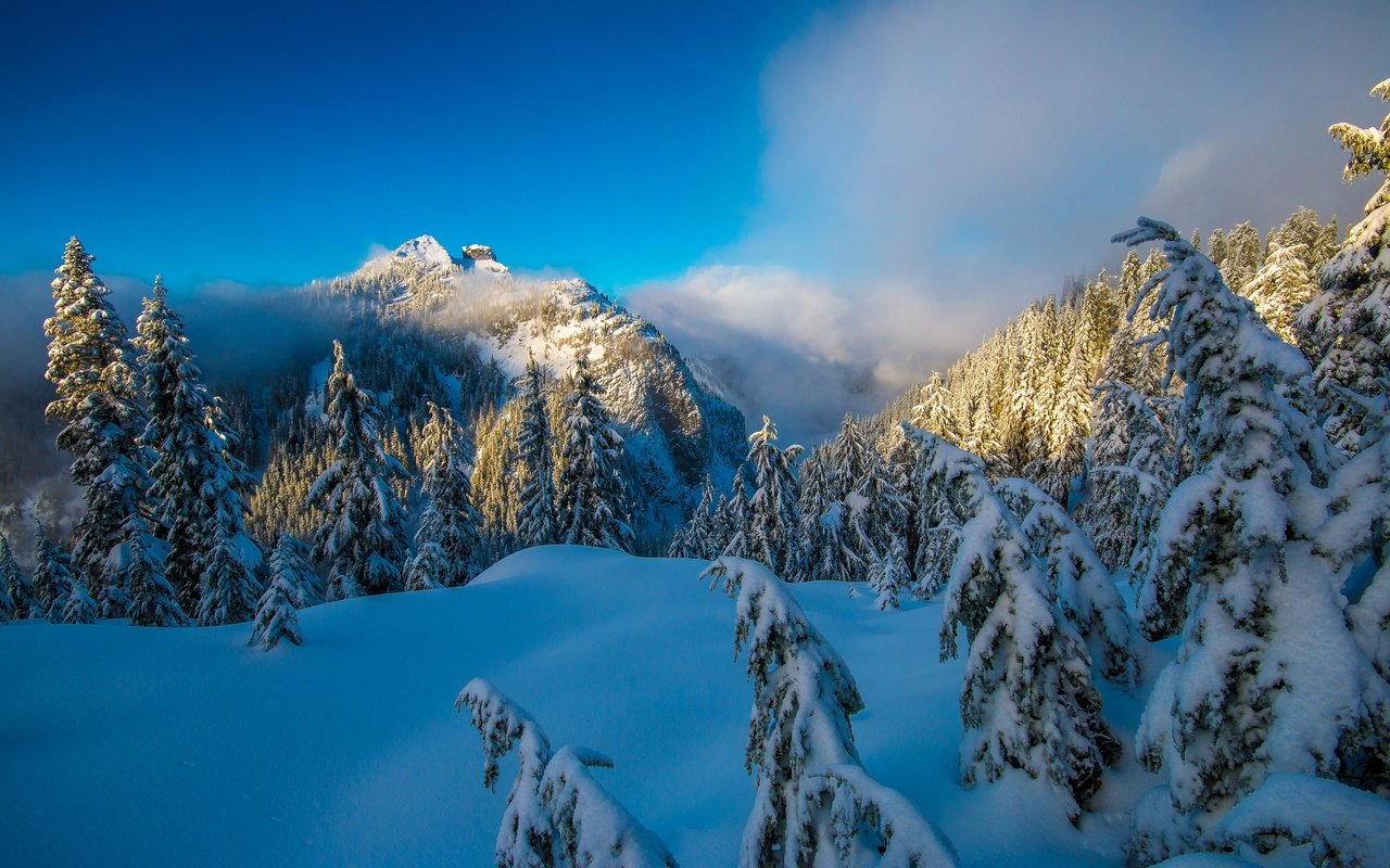 Обои небо, деревья, горы, снег, природа, лес, зима, солнечный день, the sky, trees, mountains, snow, nature, forest, winter, sunny day разрешение 3600x2400 Загрузить