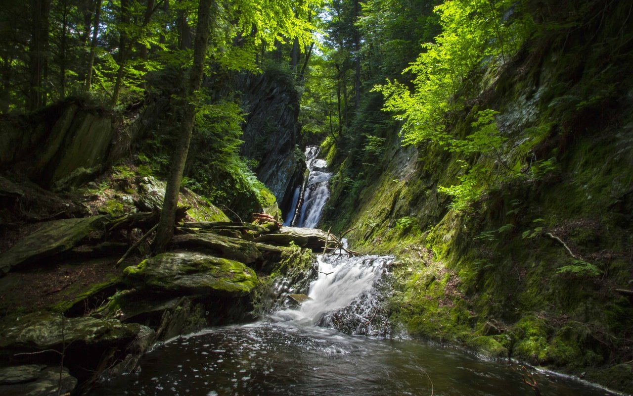 Обои деревья, вода, скалы, камни, лес, водопад, trees, water, rocks, stones, forest, waterfall разрешение 3600x2400 Загрузить