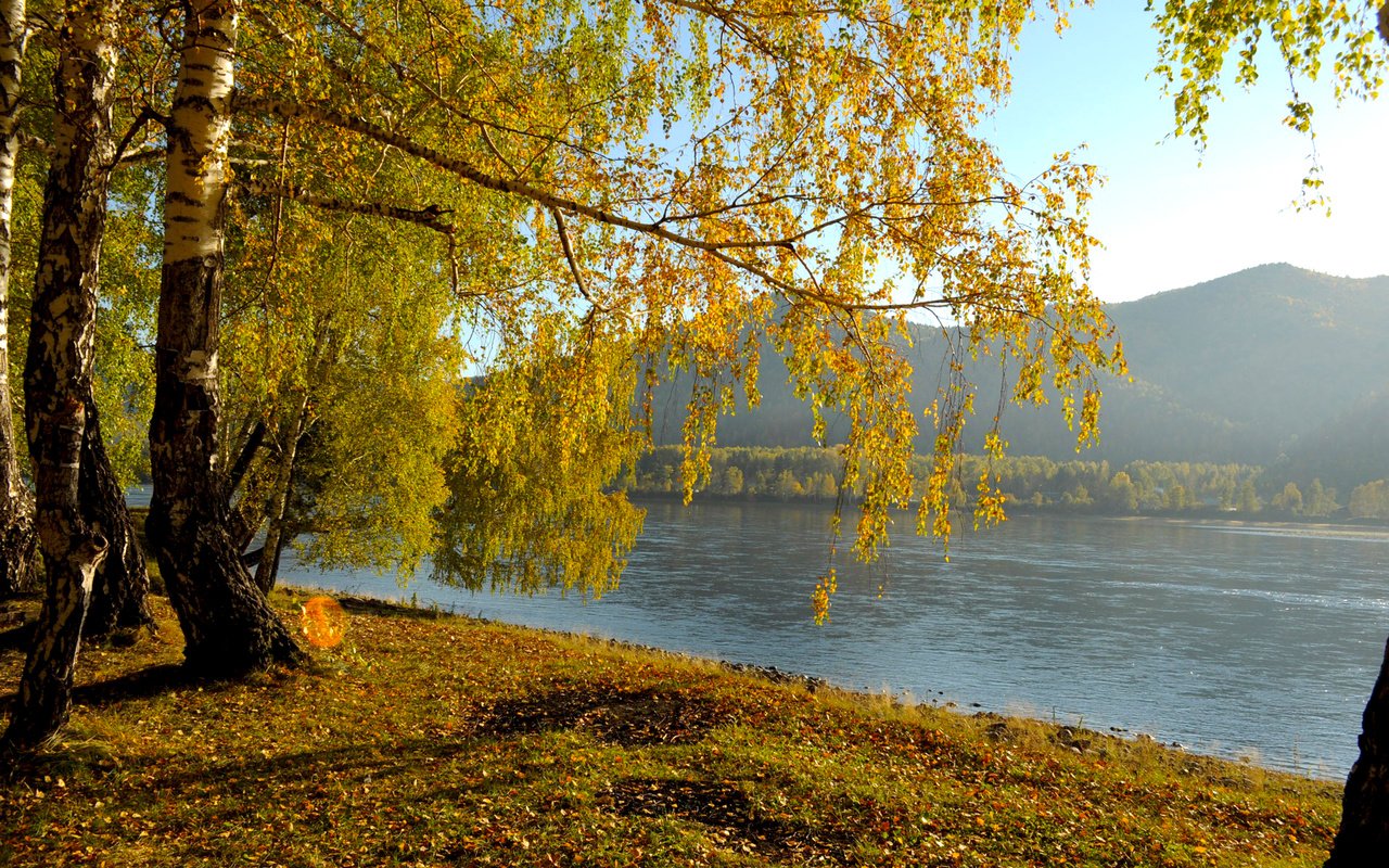 Обои река, природа, пейзаж, березы, осень, river, nature, landscape, birch, autumn разрешение 1920x1200 Загрузить