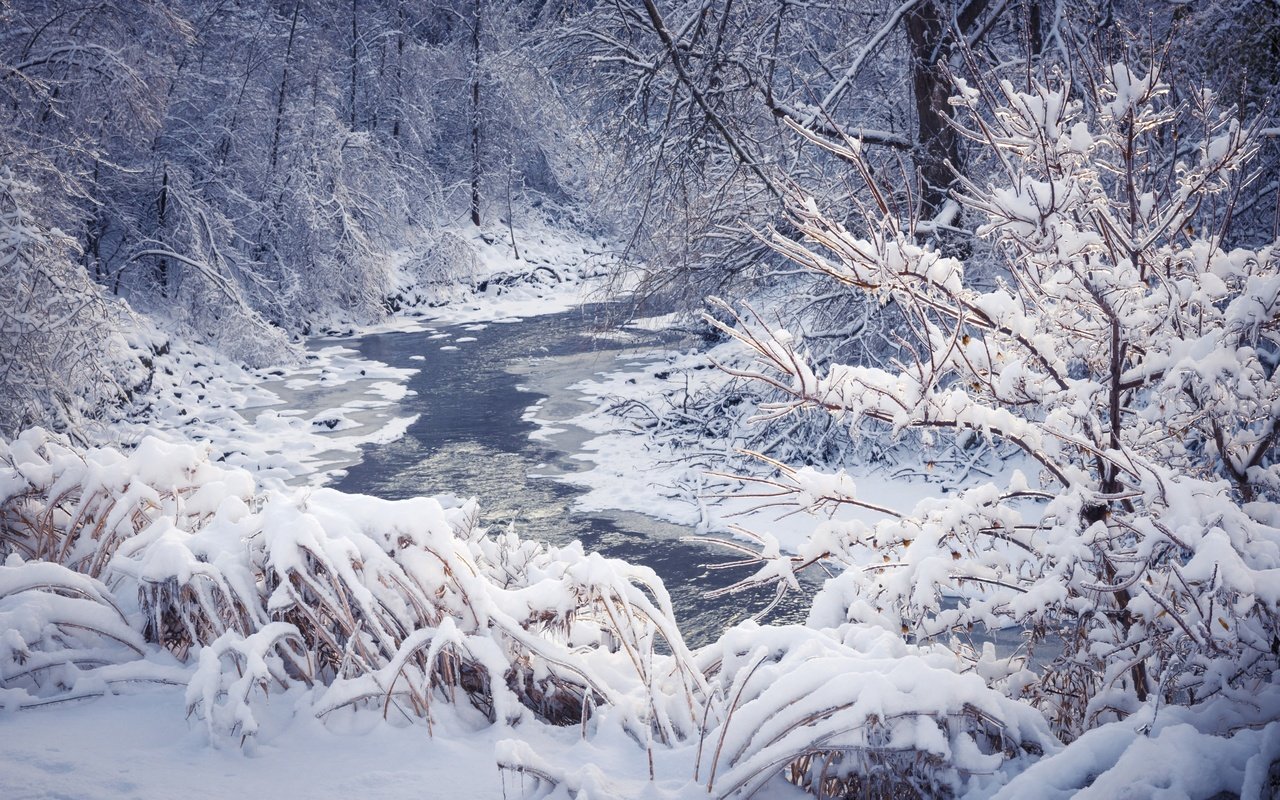 Обои деревья, река, снег, природа, лес, зима, пейзаж, trees, river, snow, nature, forest, winter, landscape разрешение 2880x1800 Загрузить