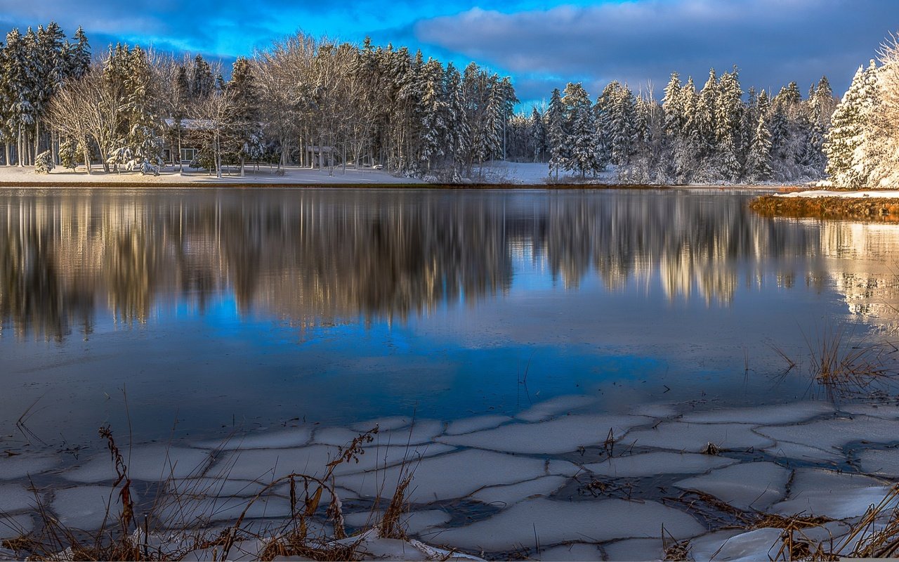 Обои озеро, природа, лес, зима, пейзаж, lake, nature, forest, winter, landscape разрешение 1920x1200 Загрузить