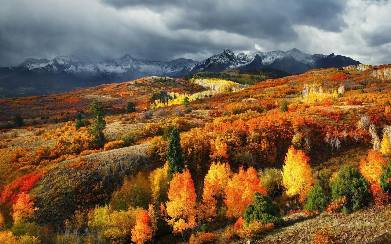 Обои деревья, горы, лес, листья, осень, сша, колорадо, trees, mountains, forest, leaves, autumn, usa, colorado разрешение 1920x1200 Загрузить