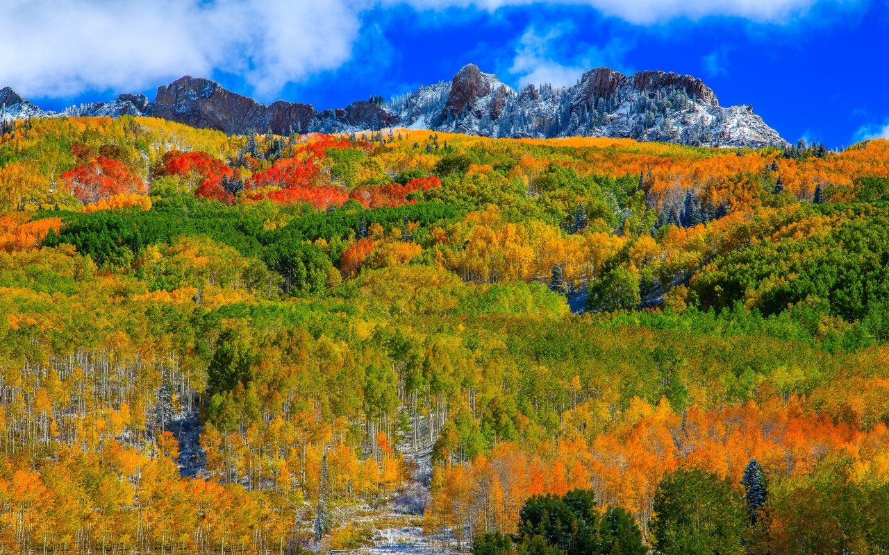 Обои небо, аспен, облака, горы, лес, склон, осень, сша, колорадо, the sky, aspen, clouds, mountains, forest, slope, autumn, usa, colorado разрешение 2048x1208 Загрузить