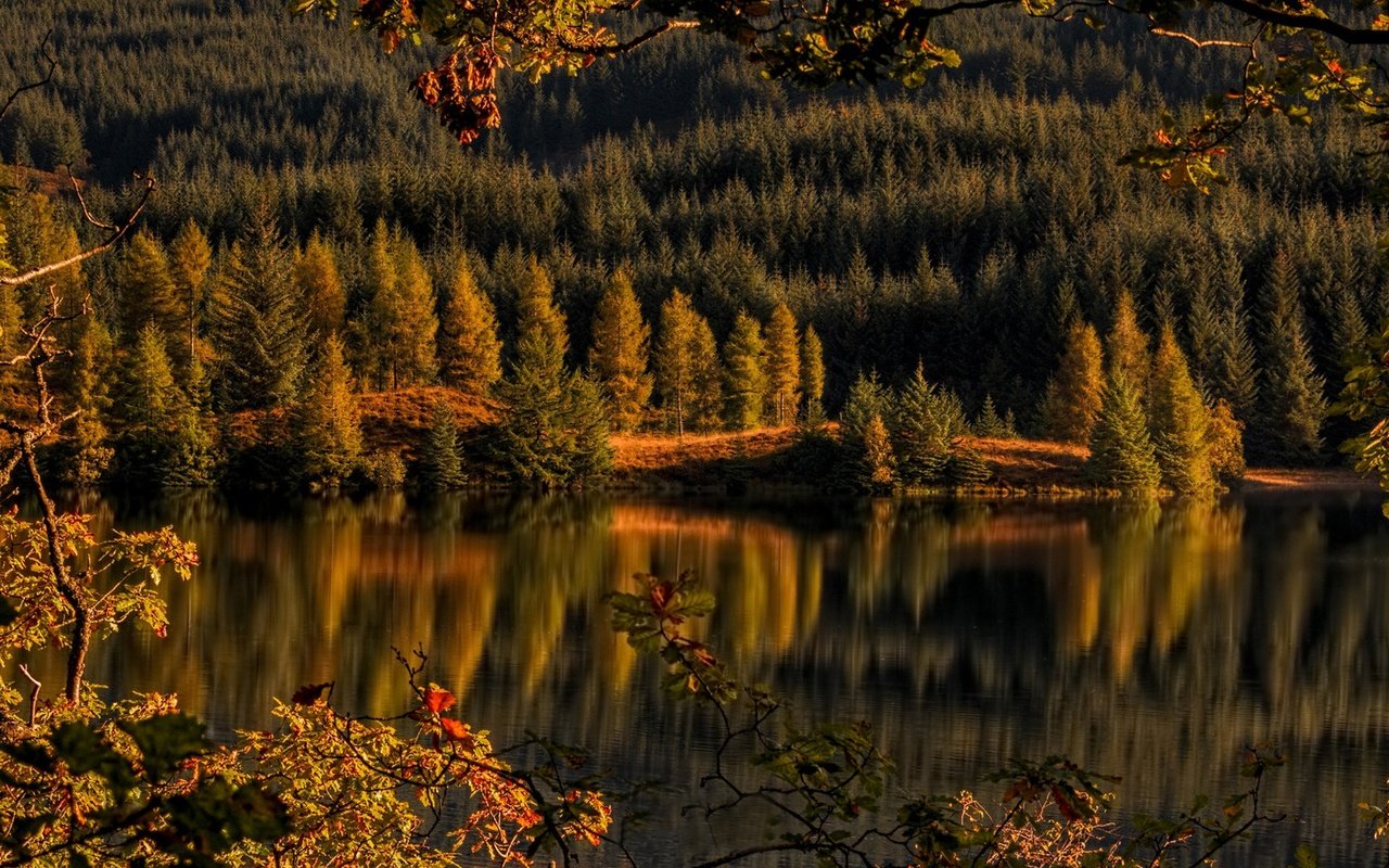 Обои деревья, achray forest, loch drunkie, озеро, лес, отражение, осень, шотландия, озеро дранки, троссачс, trees, lake, forest, reflection, autumn, scotland, lake shingles, trossachs разрешение 2160x1080 Загрузить