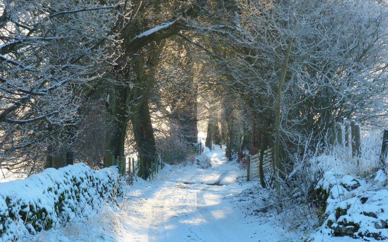 Обои дорога, снег, природа, лес, зима, иней, road, snow, nature, forest, winter, frost разрешение 2880x1800 Загрузить