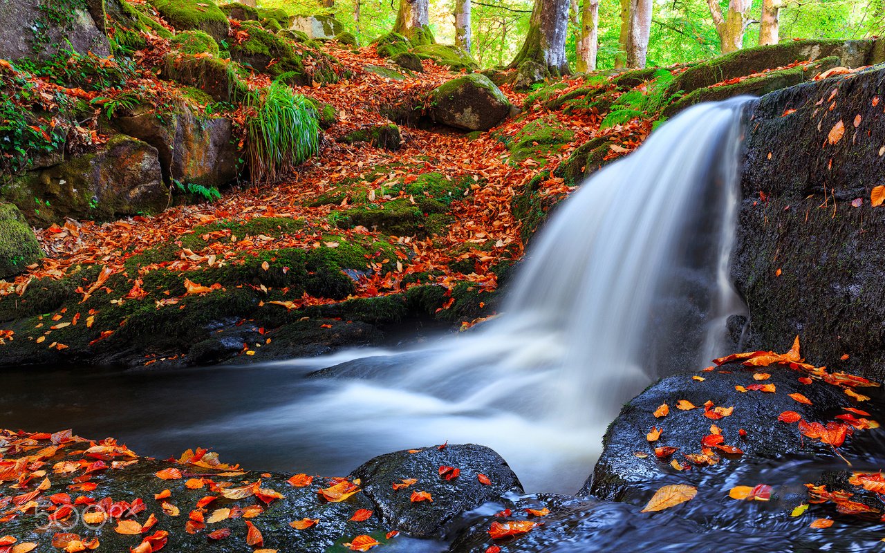 Обои река, природа, лес, листья, водопад, осень, frederick bancale, river, nature, forest, leaves, waterfall, autumn разрешение 1920x1200 Загрузить