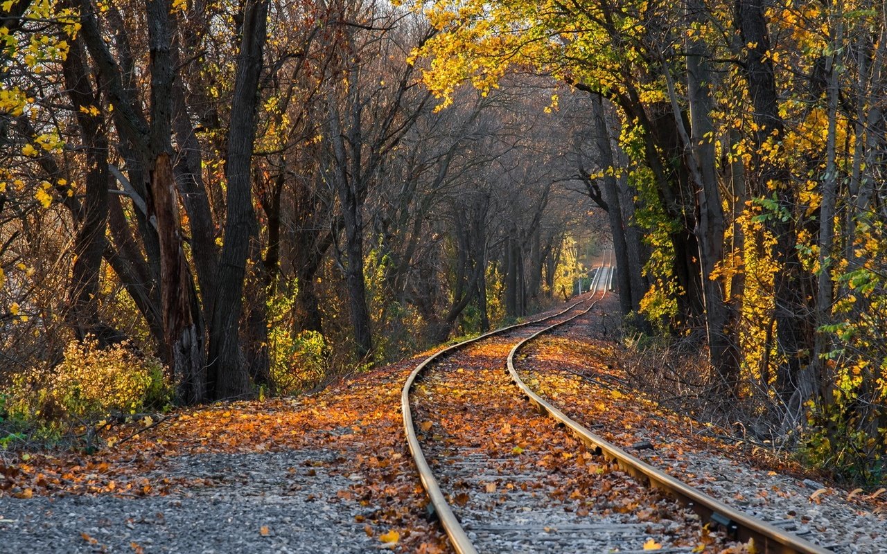 Обои деревья, железная дорога, рельсы, природа, лес, листья, парк, осень, trees, railroad, rails, nature, forest, leaves, park, autumn разрешение 1920x1080 Загрузить