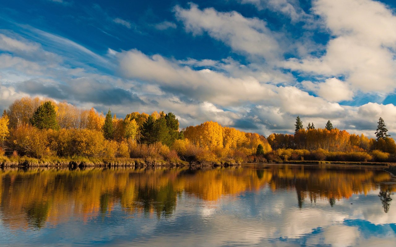 Обои небо, осень, облака, деревья, озеро, природа, лес, отражение, пейзаж, the sky, autumn, clouds, trees, lake, nature, forest, reflection, landscape разрешение 1920x1200 Загрузить