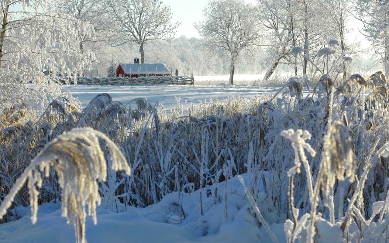 Обои деревья, снег, природа, зима, кусты, иней, деревня, домик, trees, snow, nature, winter, the bushes, frost, village, house разрешение 2880x1800 Загрузить