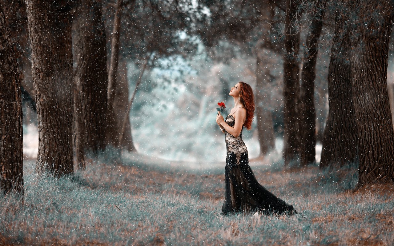 Обои деревья, девушка, парк, платье, цветок, прогулка, снегопад, trees, girl, park, dress, flower, walk, snowfall разрешение 1920x1200 Загрузить