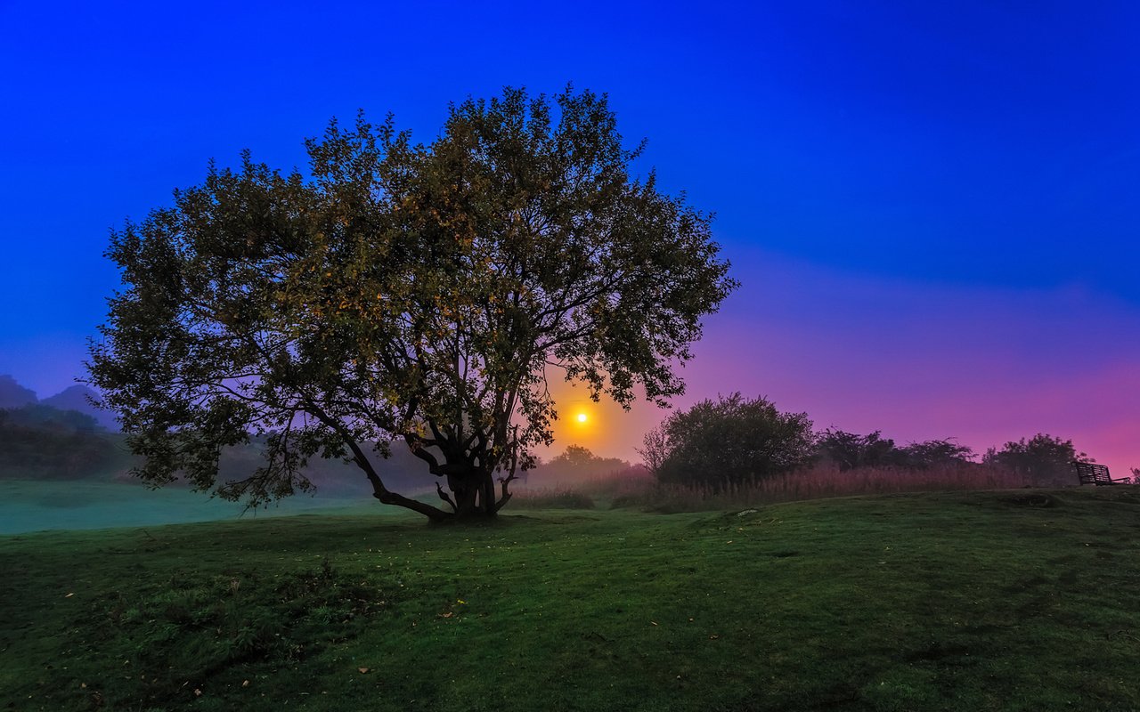 Обои вечер, природа, дерево, закат, пейзаж, сумерки, a w mcmahon, the evening, nature, tree, sunset, landscape, twilight разрешение 1920x1200 Загрузить