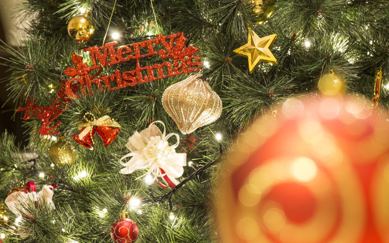 Обои новый год, елка, рождество, елочные игрушки, гирлянда, mascolo stefano, new year, tree, christmas, christmas decorations, garland разрешение 1920x1200 Загрузить