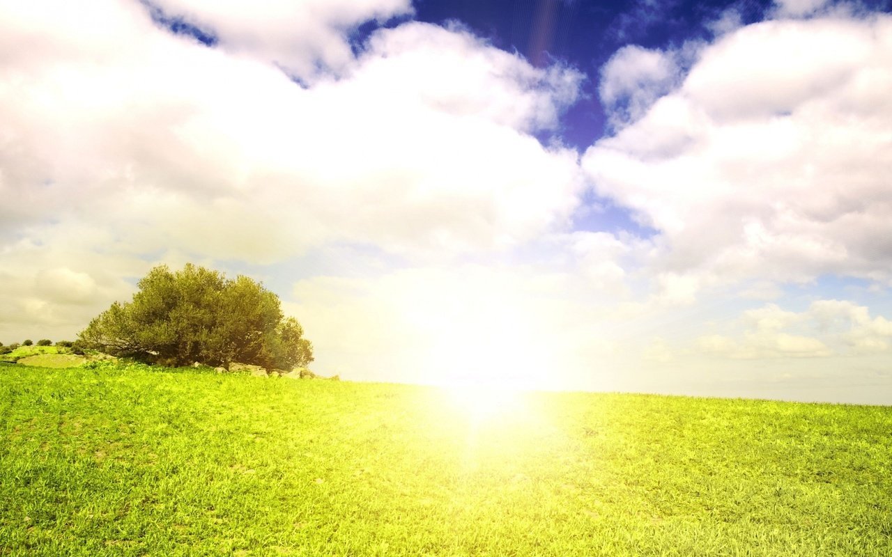 Обои небо, трава, облака, природа, дерево, пейзаж, лето, солнечный свет, the sky, grass, clouds, nature, tree, landscape, summer, sunlight разрешение 3840x2160 Загрузить