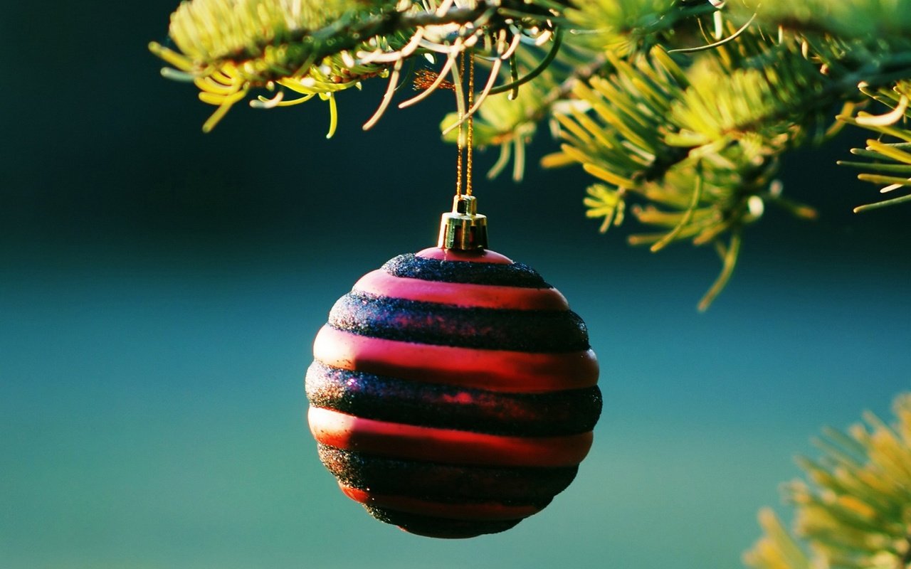 Обои новый год, елка, шар, рождество, new year, tree, ball, christmas разрешение 1920x1200 Загрузить