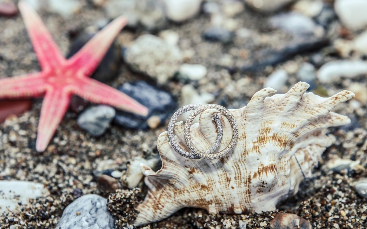 Обои камни, украшения, песок, кольца, ракушка, морская звезда, stones, decoration, sand, ring, shell, starfish разрешение 4990x3327 Загрузить