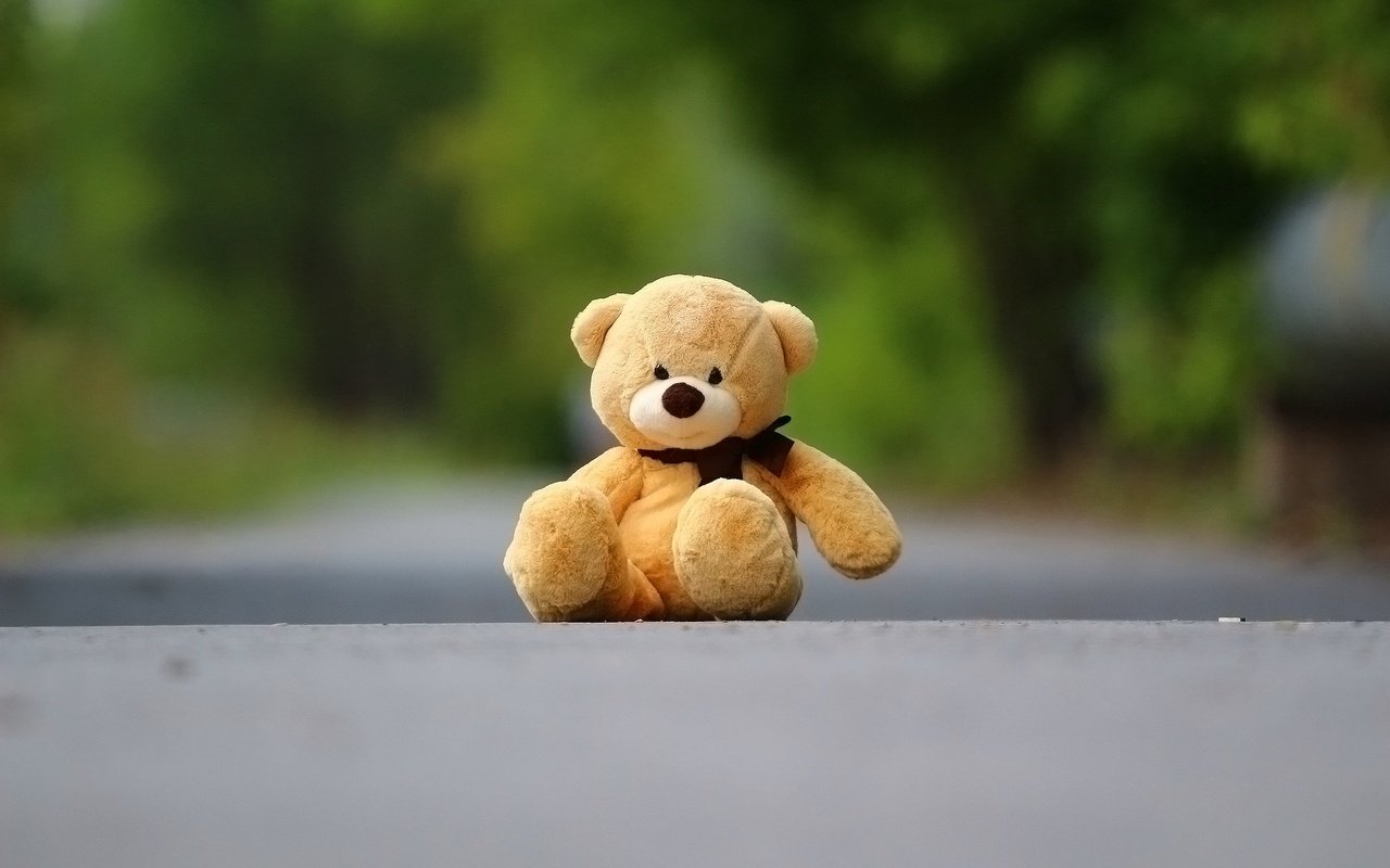 Обои фон, медведь, мишка, игрушка, асфальт, плюшевый мишка, background, bear, toy, asphalt, teddy bear разрешение 1920x1280 Загрузить