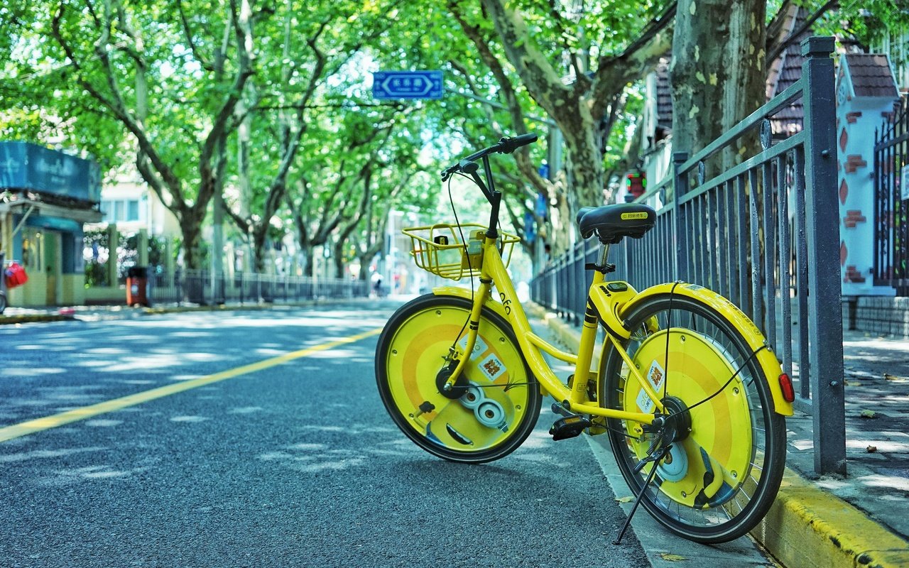 Обои деревья, город, улица, велосипед, trees, the city, street, bike разрешение 5567x3706 Загрузить