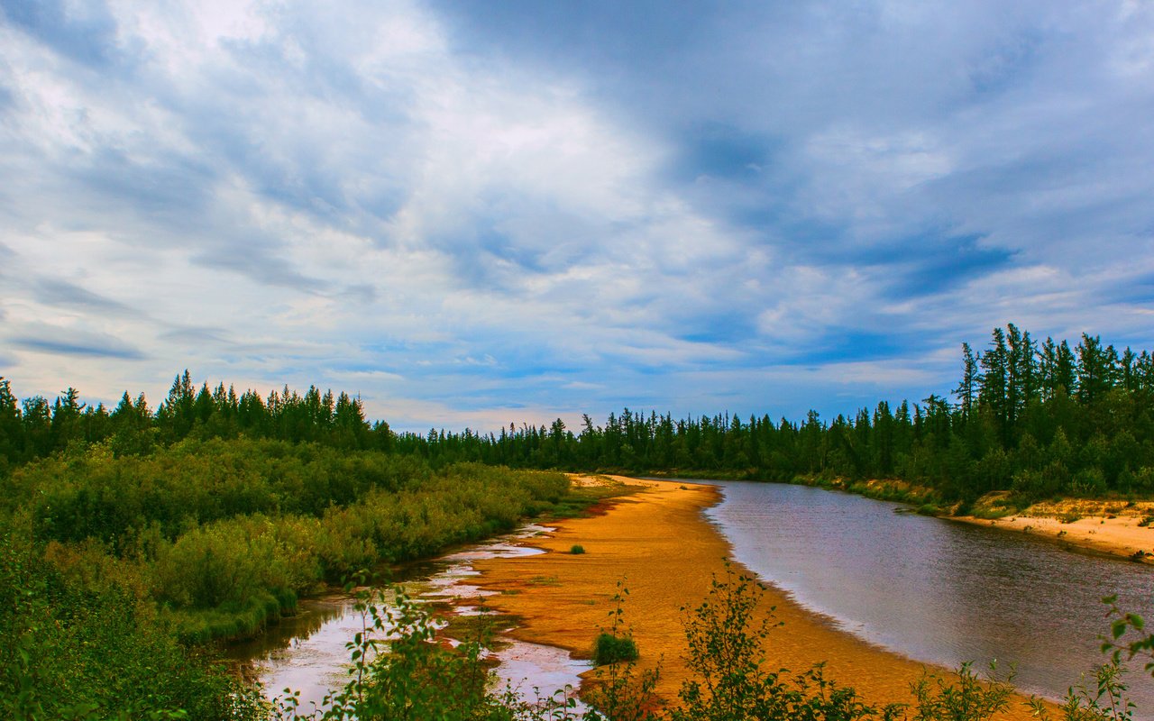 Обои вода, река, природа, берег, зелень, лес, елки, water, river, nature, shore, greens, forest, tree разрешение 1920x1200 Загрузить