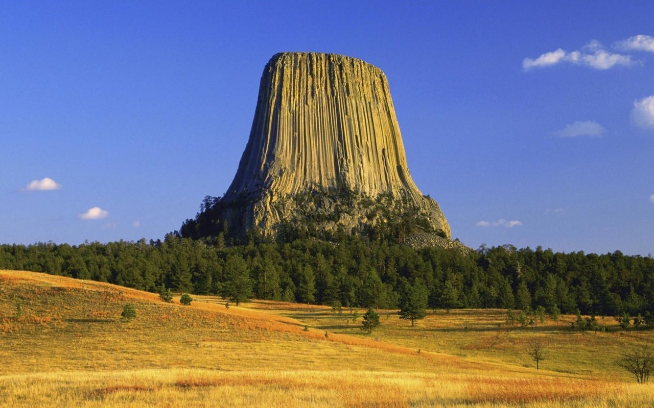 Обои деревья, осень, сша, плато, вайоминг, башня дьявола, trees, autumn, usa, plateau, wyoming, devil's tower разрешение 1920x1080 Загрузить