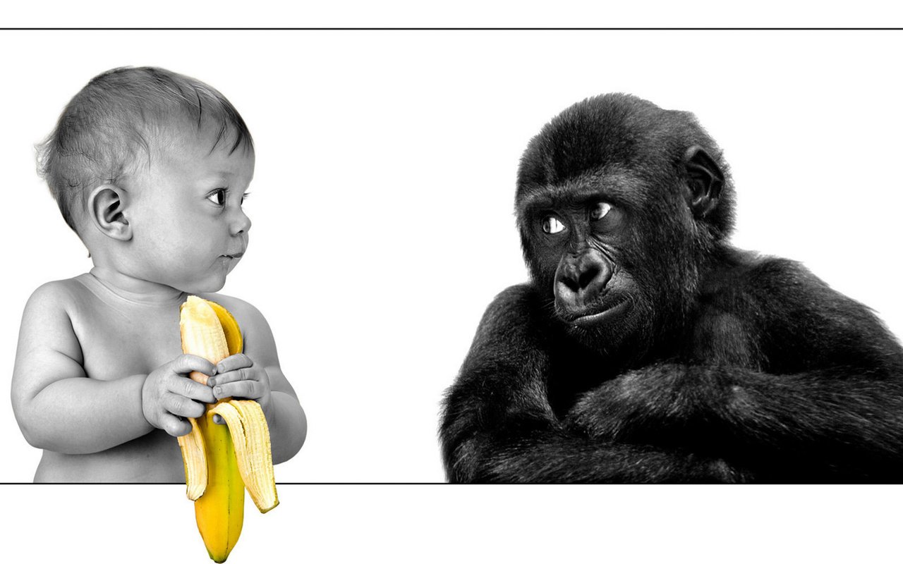 Обои ребенок, обезьяна, банан, child, monkey, banana разрешение 2560x1600 Загрузить