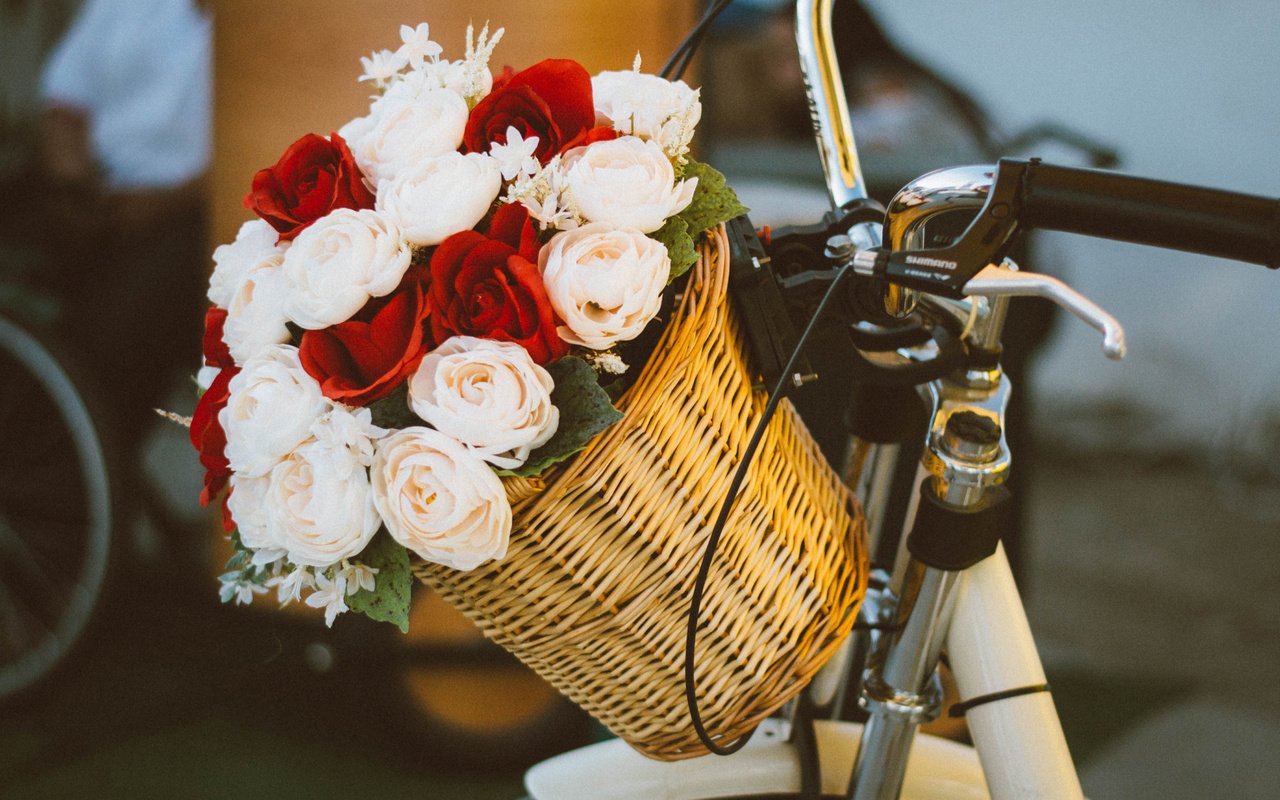 Обои настроение, розы, букет, корзина, велосипед, mood, roses, bouquet, basket, bike разрешение 2112x1188 Загрузить