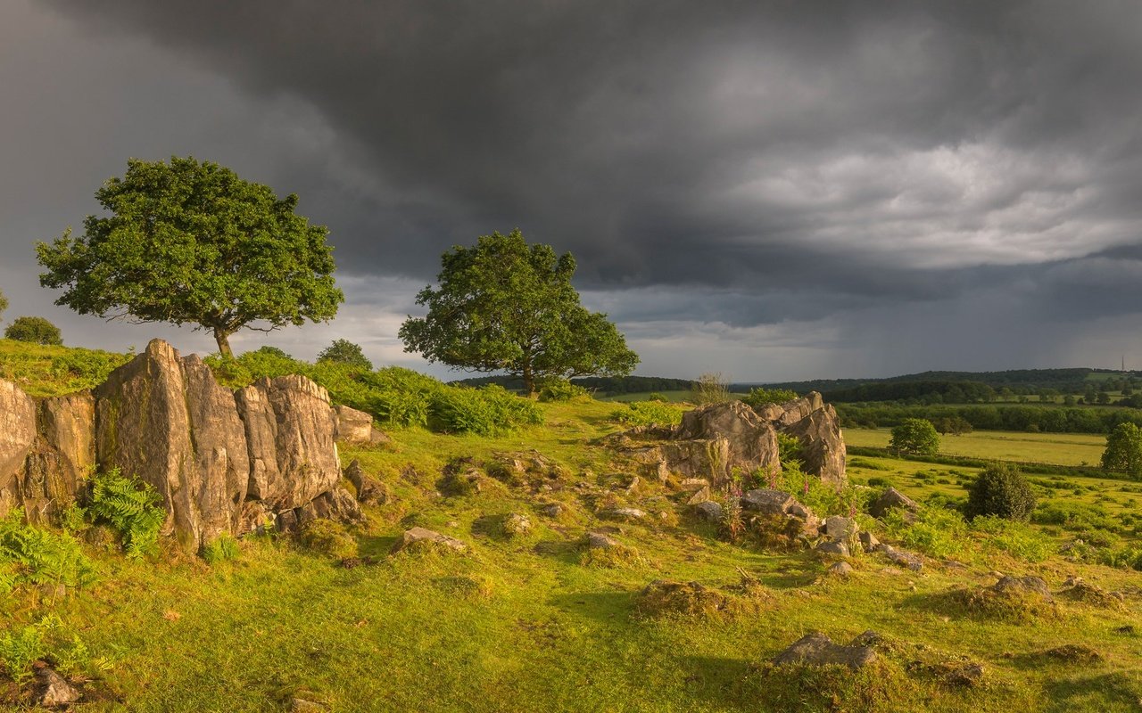 Обои деревья, англия, холм, луга, beacon hill, гэмпшир, burghclere, trees, england, hill, meadows, hampshire разрешение 2047x1096 Загрузить