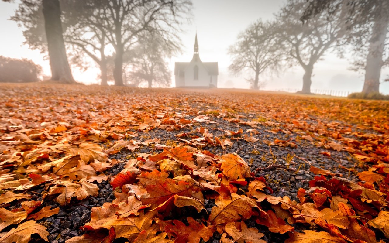 Обои природа, листья, туман, осень, здание, nature, leaves, fog, autumn, the building разрешение 2048x1249 Загрузить
