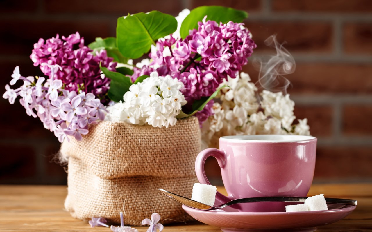 Обои кофе, букет, чашка, сирень, coffee, bouquet, cup, lilac разрешение 2112x1188 Загрузить