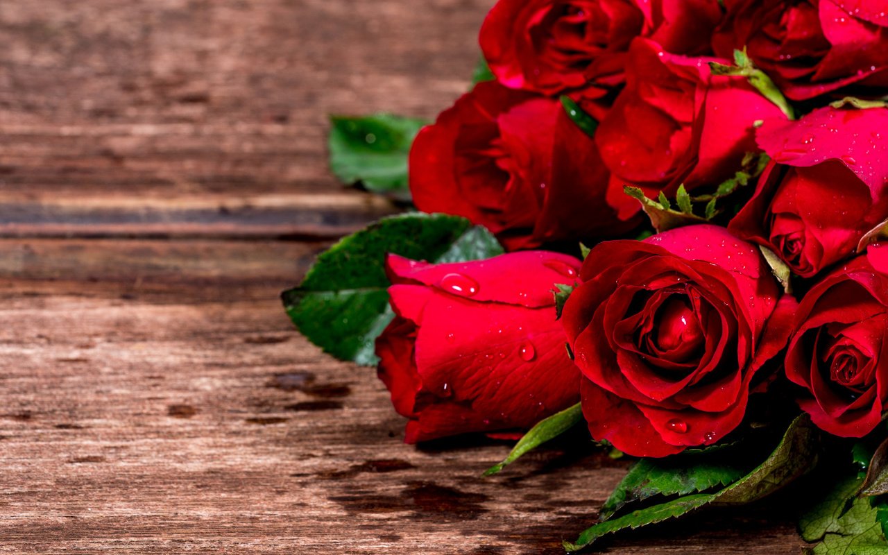 Обои цветы, розы, красные, букет, романтик, дерева, влюбленная, flowers, roses, red, bouquet, romantic, wood, love разрешение 2112x1188 Загрузить