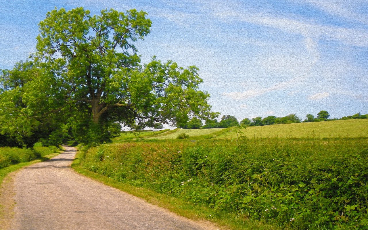 Обои небо, дорога, деревья, природа, пейзаж, поле, the sky, road, trees, nature, landscape, field разрешение 3840x2160 Загрузить