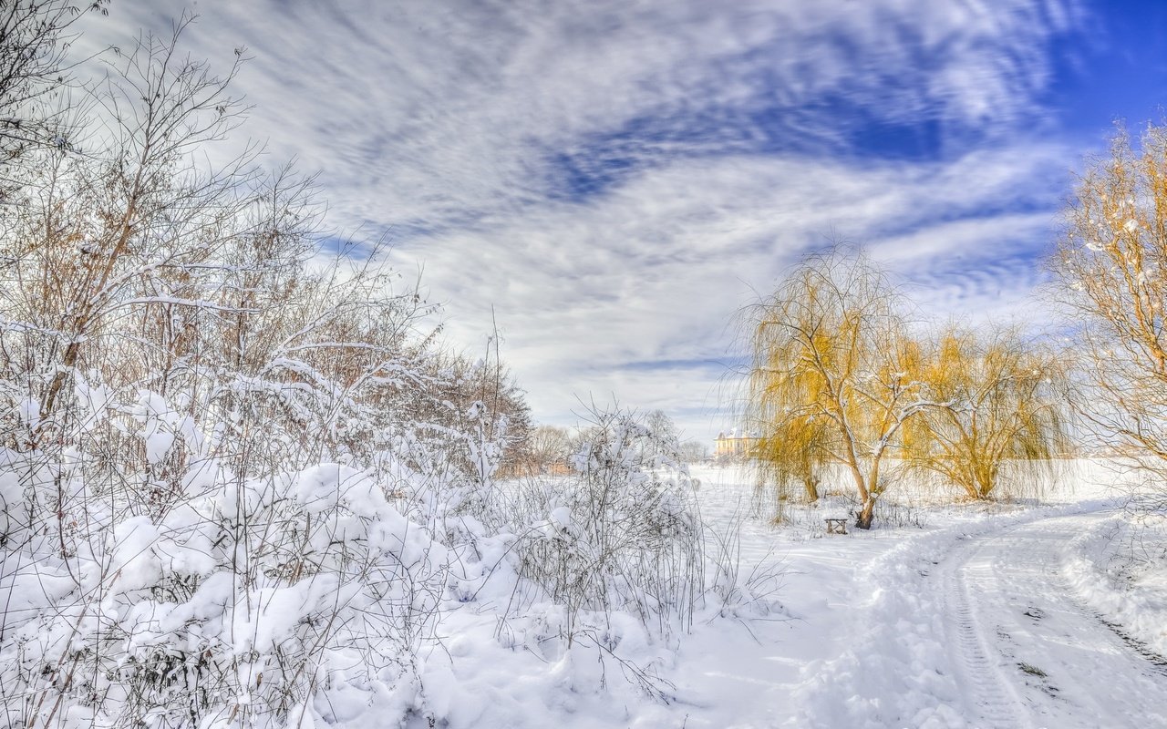 Обои дорога, деревья, снег, зима, пейзаж, road, trees, snow, winter, landscape разрешение 2560x1600 Загрузить