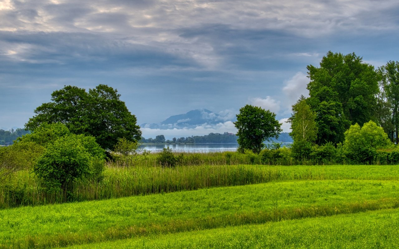 Обои трава, деревья, озеро, река, природа, лес, поле, луг, grass, trees, lake, river, nature, forest, field, meadow разрешение 5065x2848 Загрузить