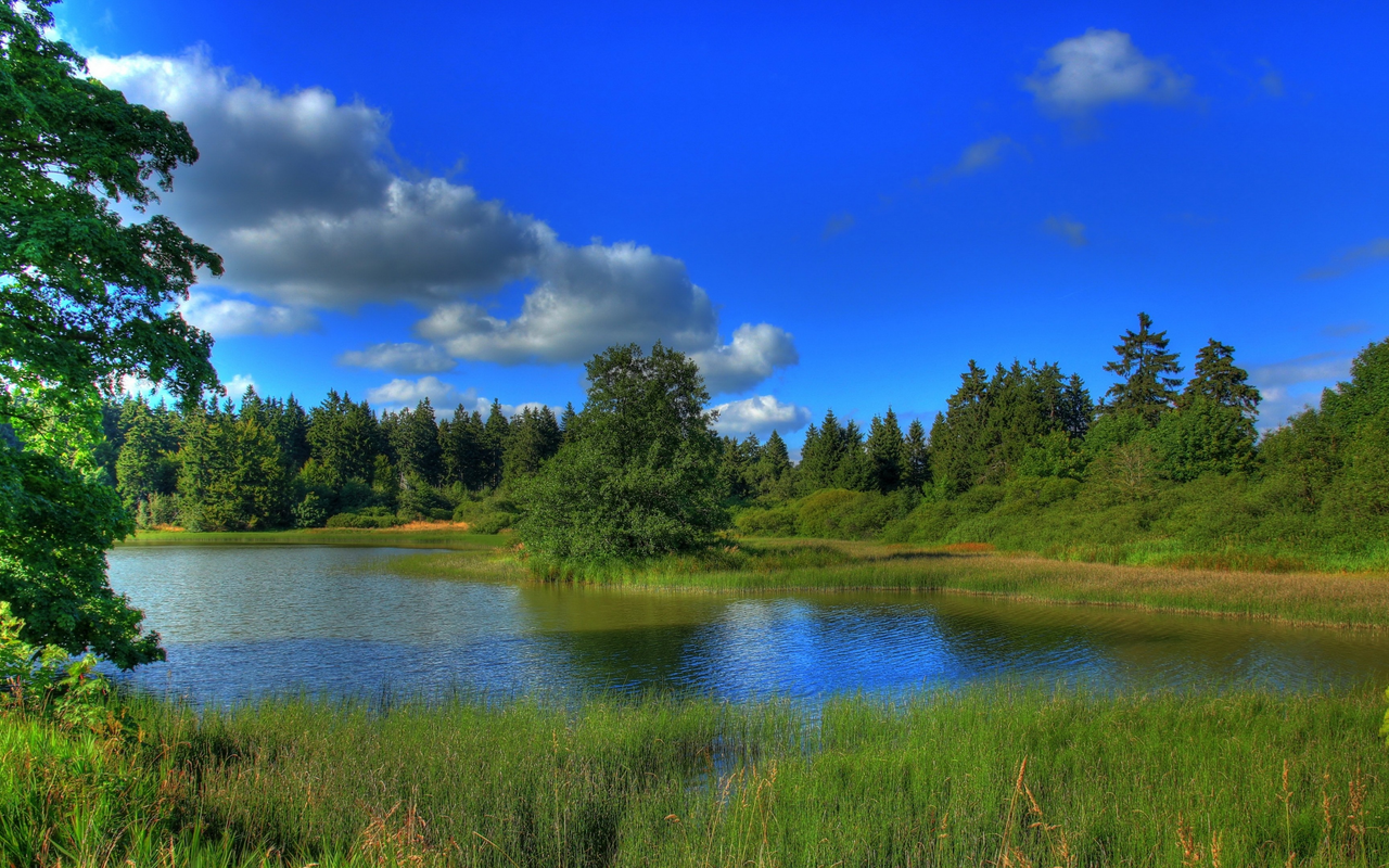 Обои небо, трава, облака, деревья, природа, лес, пруд, the sky, grass, clouds, trees, nature, forest, pond разрешение 3840x2160 Загрузить