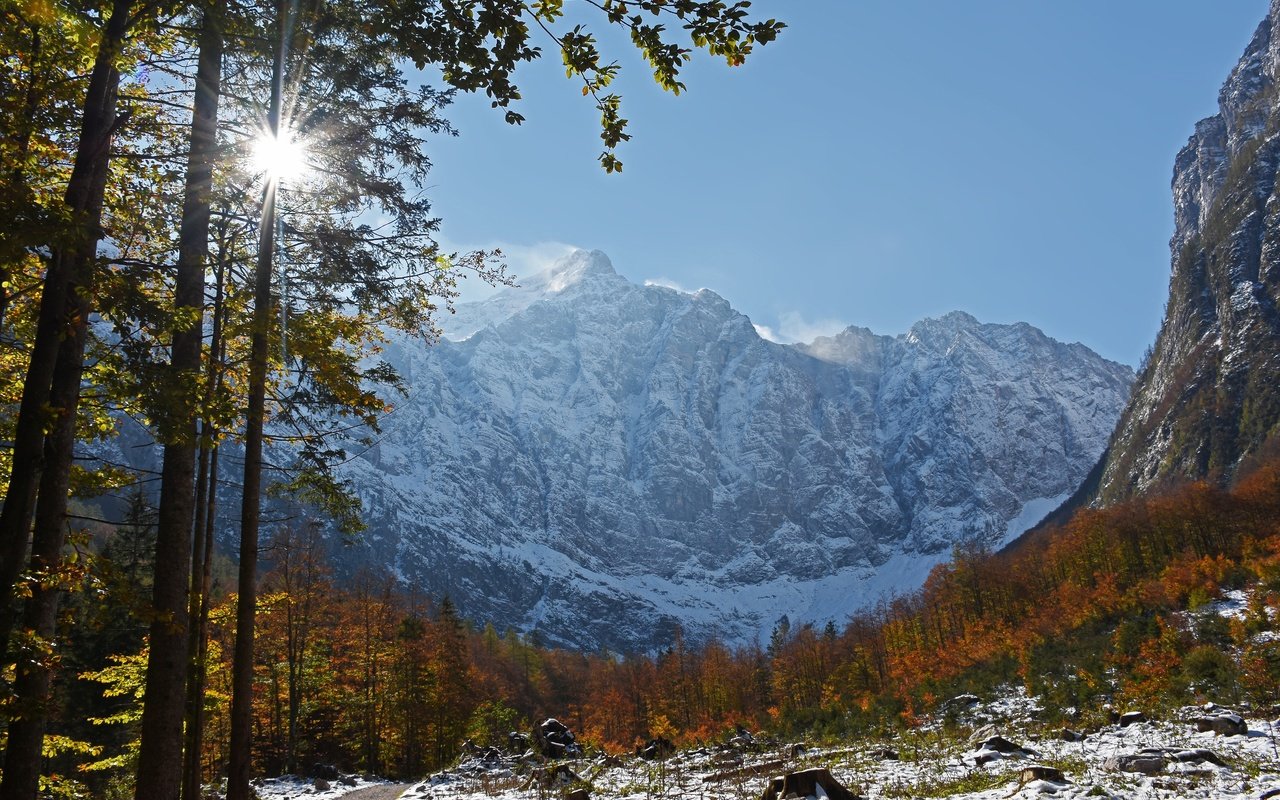 Обои деревья, горы, лес, осень, словения, julian alps, юлийские альпы, trees, mountains, forest, autumn, slovenia, the julian alps разрешение 4800x3008 Загрузить