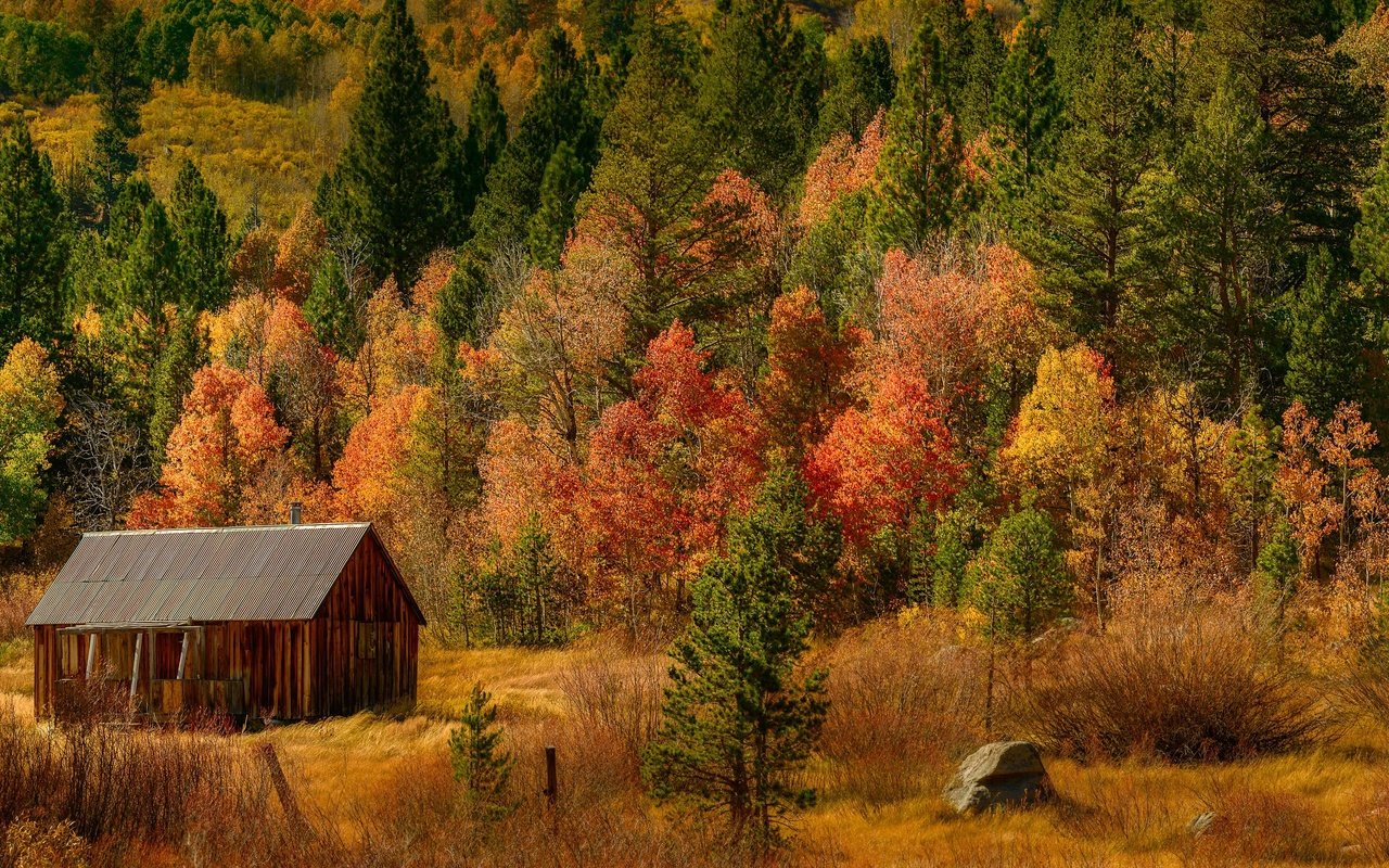 Обои деревья, лес, осень, домик, trees, forest, autumn, house разрешение 6144x2048 Загрузить