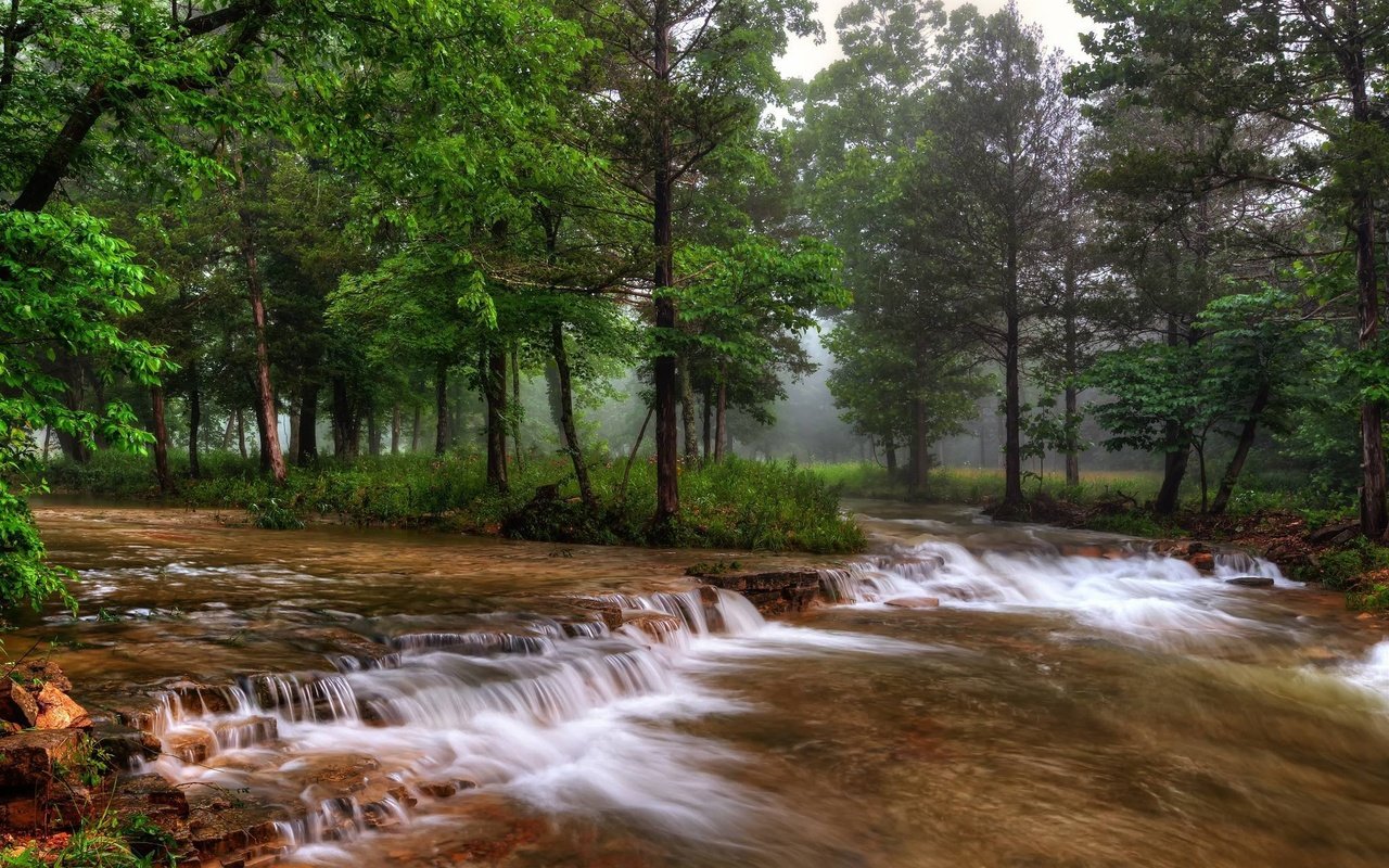 Обои деревья, река, природа, лес, туман, сша, миссури, trees, river, nature, forest, fog, usa, missouri разрешение 2048x1343 Загрузить