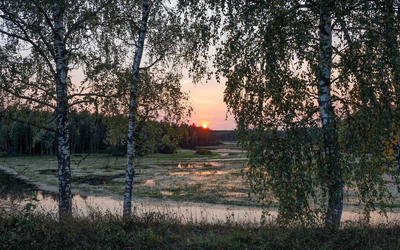 Обои деревья, река, природа, закат, пейзаж, леса, trees, river, nature, sunset, landscape, forest разрешение 2278x1520 Загрузить