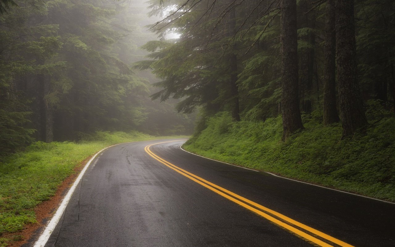 Обои дорога, лес, туман, road, forest, fog разрешение 3840x2160 Загрузить