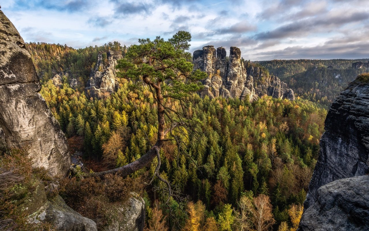 Обои горы, природа, лес, mountains, nature, forest разрешение 3840x2160 Загрузить