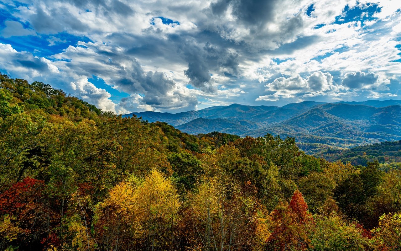 Обои небо, облака, деревья, горы, лес, осень, the sky, clouds, trees, mountains, forest, autumn разрешение 4050x2700 Загрузить