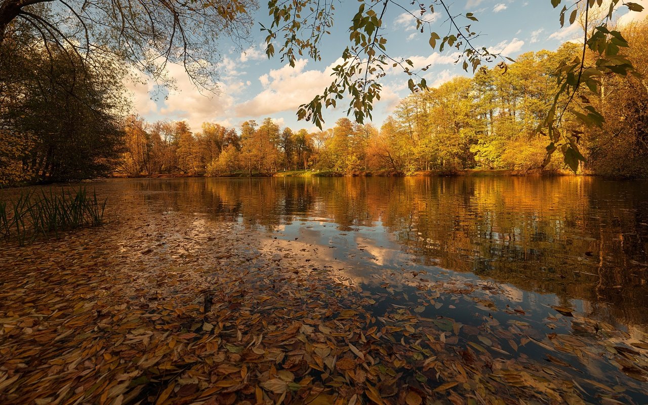 Обои озеро, листья, осень, lake, leaves, autumn разрешение 3840x2160 Загрузить