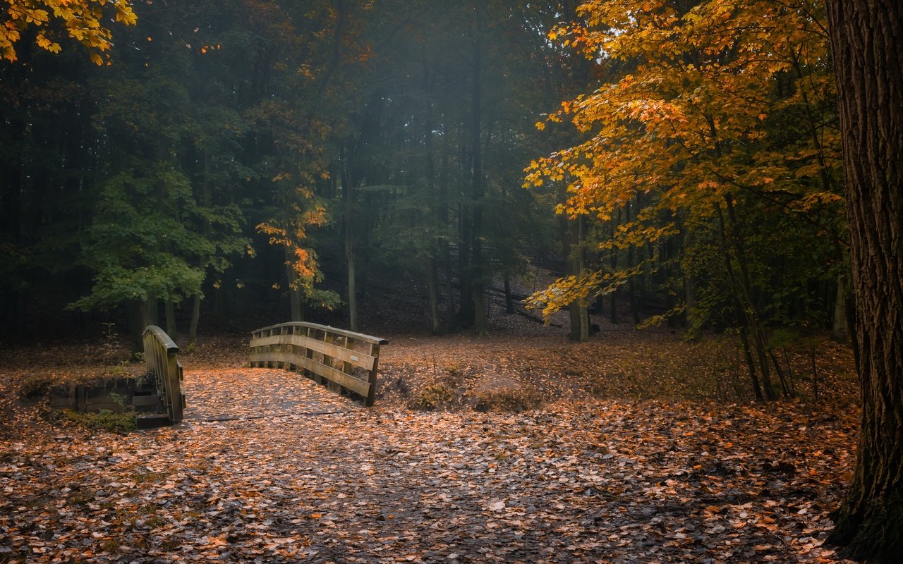 Обои природа, парк, nature, park разрешение 3840x2160 Загрузить