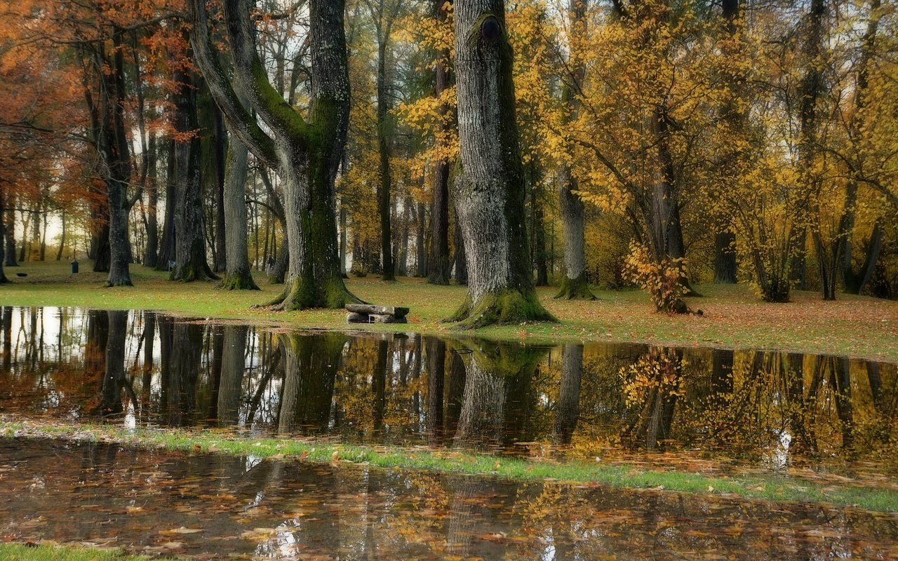 Обои природа, парк, nature, park разрешение 3840x2160 Загрузить