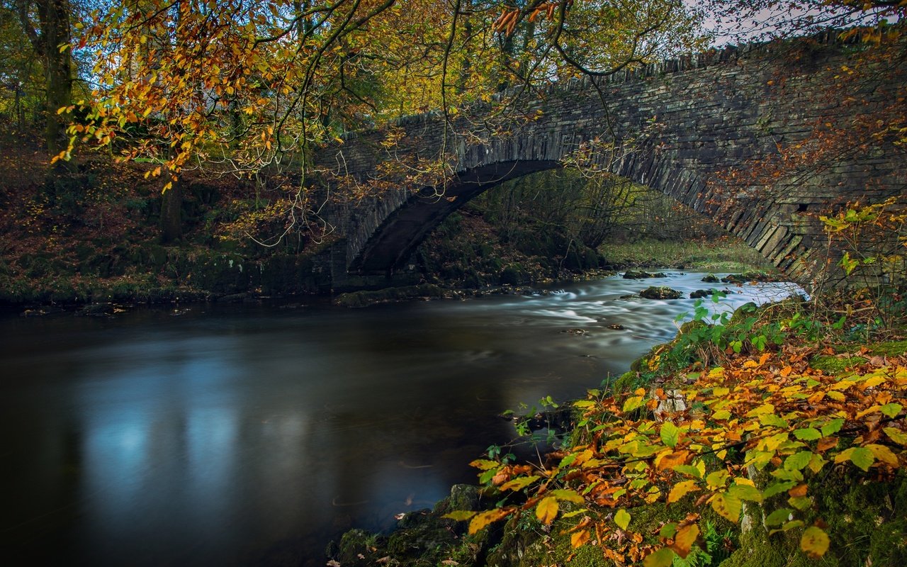 Обои река, листья, ветки, мост, осень, англия, lake district, камбрия, river, leaves, branches, bridge, autumn, england, cumbria разрешение 2048x1148 Загрузить