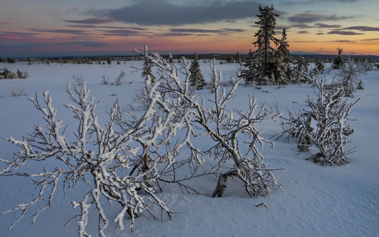 Обои снег, закат, snow, sunset разрешение 3840x2160 Загрузить