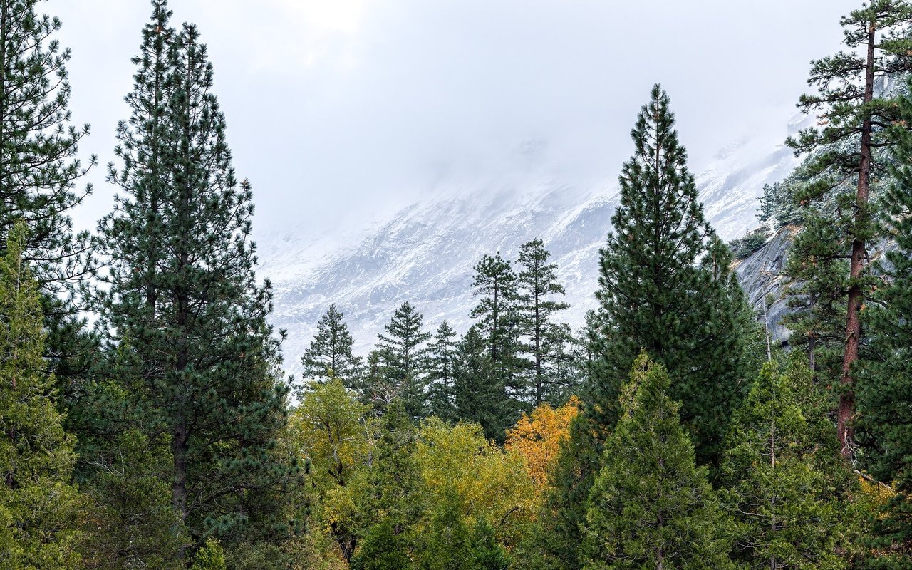 Обои сша, йосемити, национальный парк, сьерра-невада, usa, yosemite, national park, sierra nevada разрешение 2048x1365 Загрузить