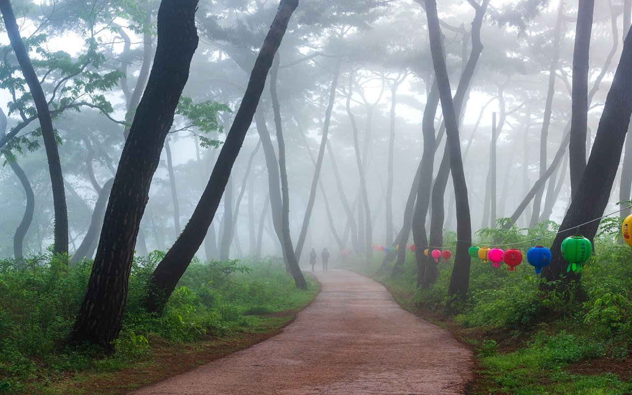 Обои деревья, парк, туман, дорожка, люди, фонарики, trees, park, fog, track, people, lanterns разрешение 2000x1169 Загрузить